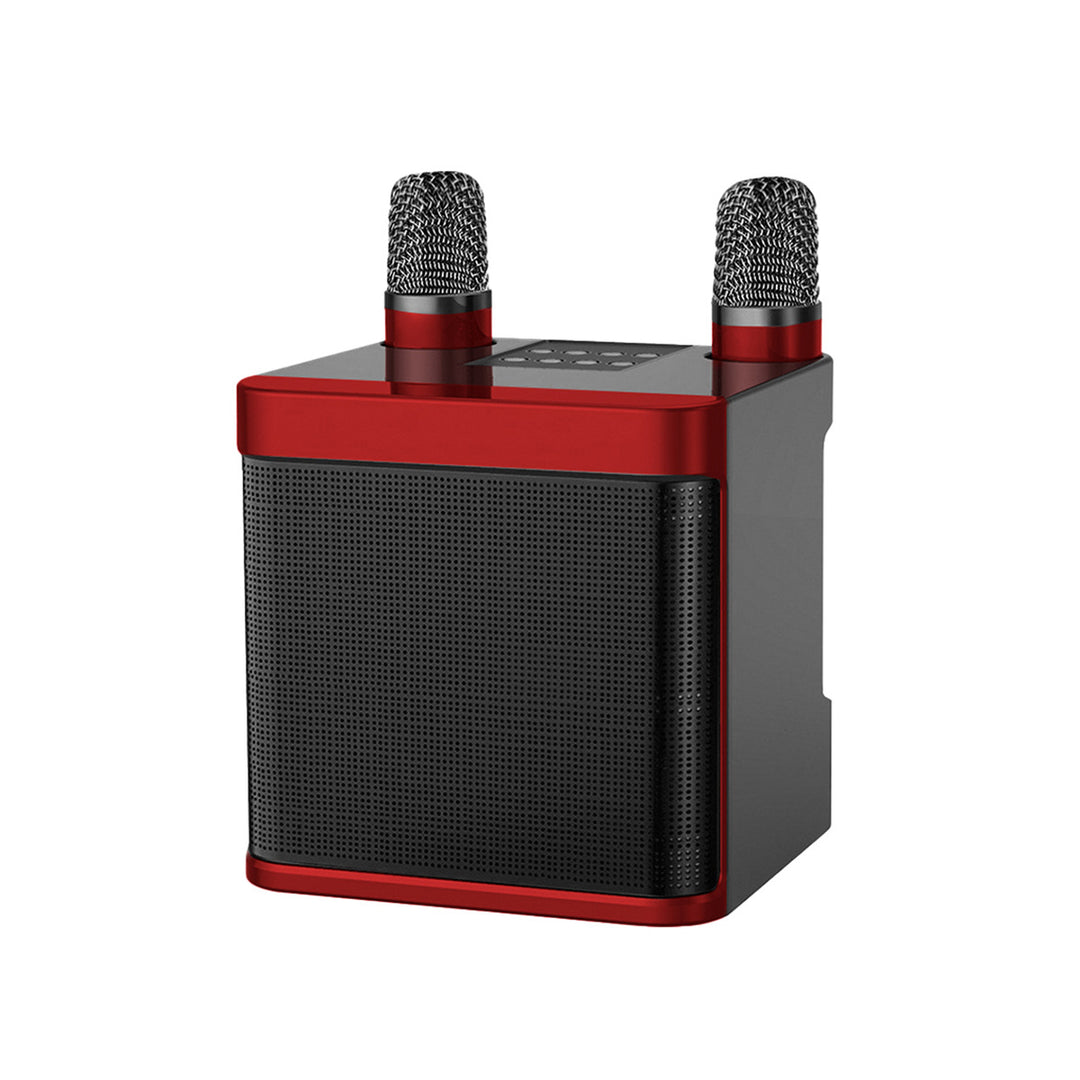 Dual Microphone Karaoke Speaker Stornfield