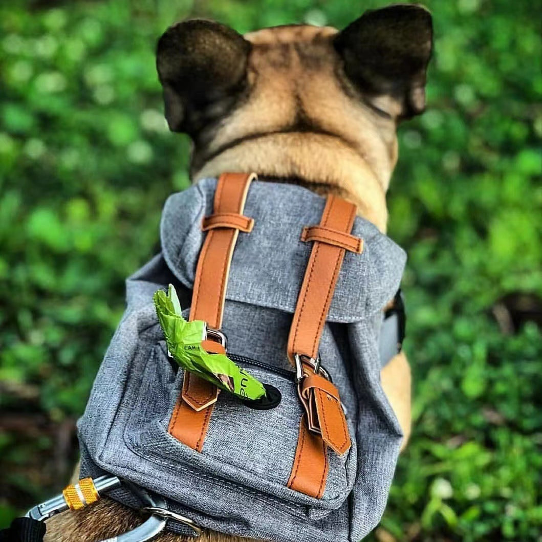 Unisex practical pet backpack with safety closure Stornfield