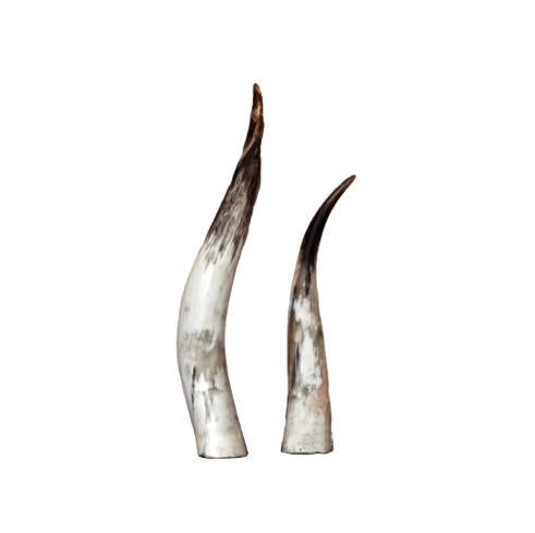 Decorative Horn Statues