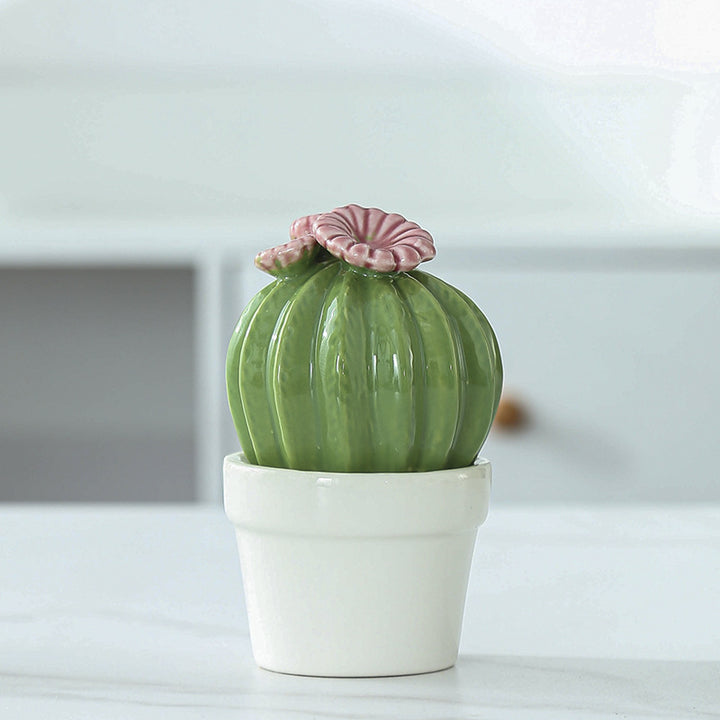 Decorative Ceramic Cactus Planter Stornfeild