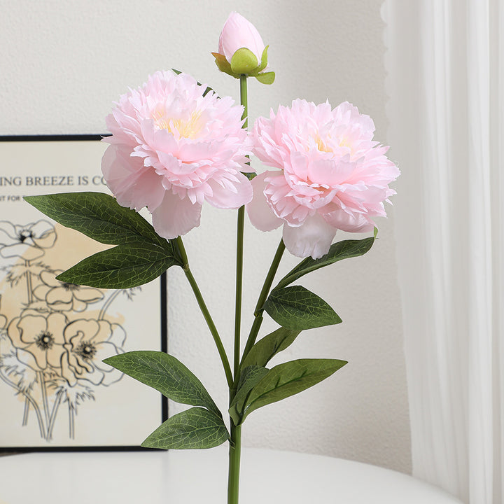 Realistic Art Peony