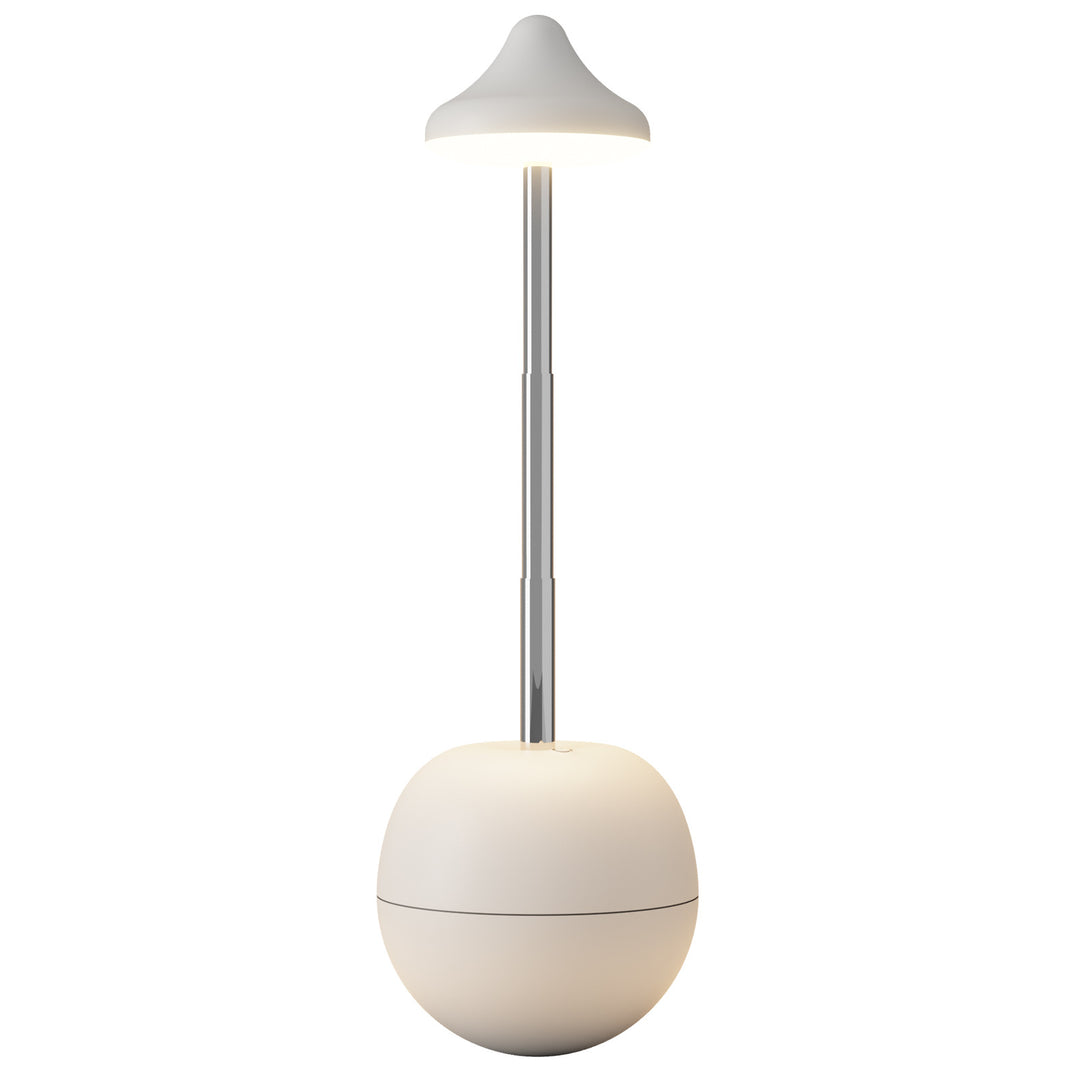 Modern Adjustable LED Desk Lamp