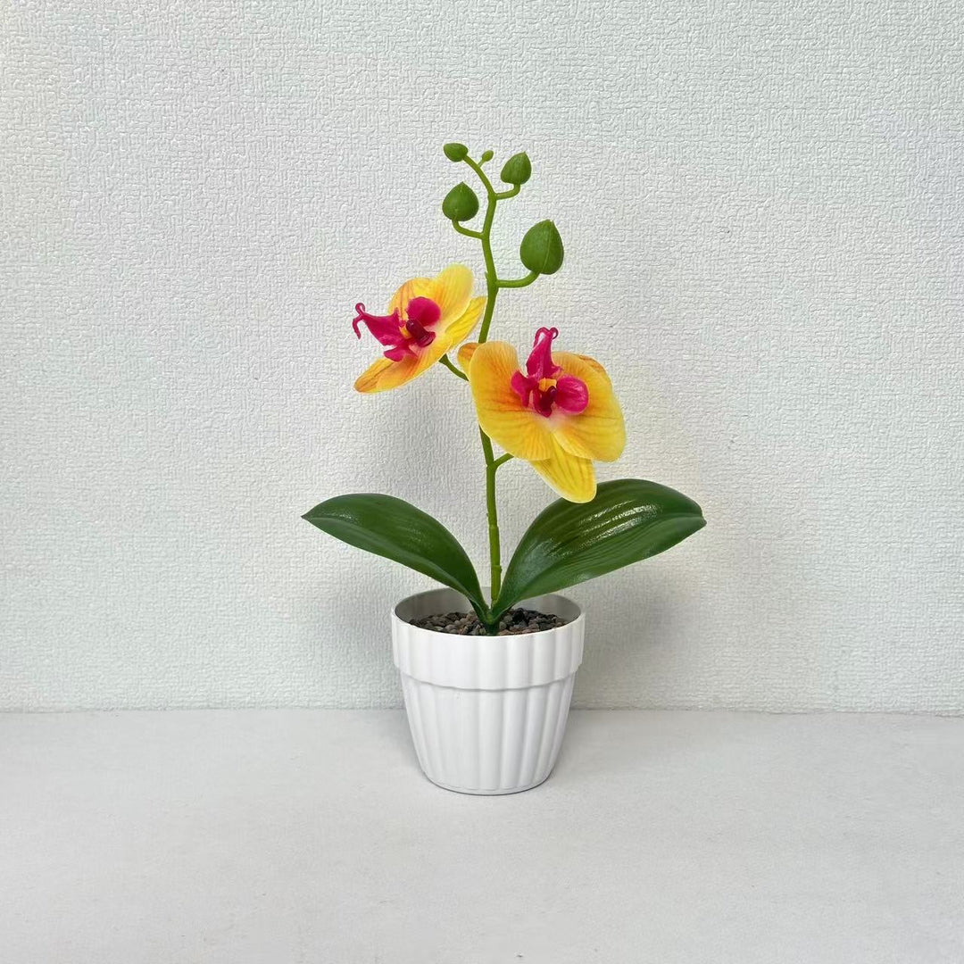 Lifelike Orchid Plant in Decorative Ceramic Pot for Decor