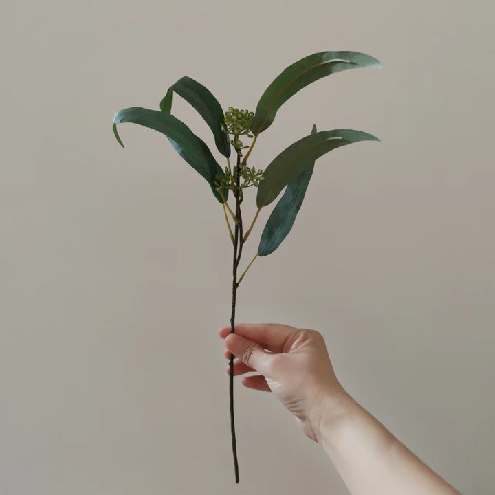 Natural Dried Floral Stem