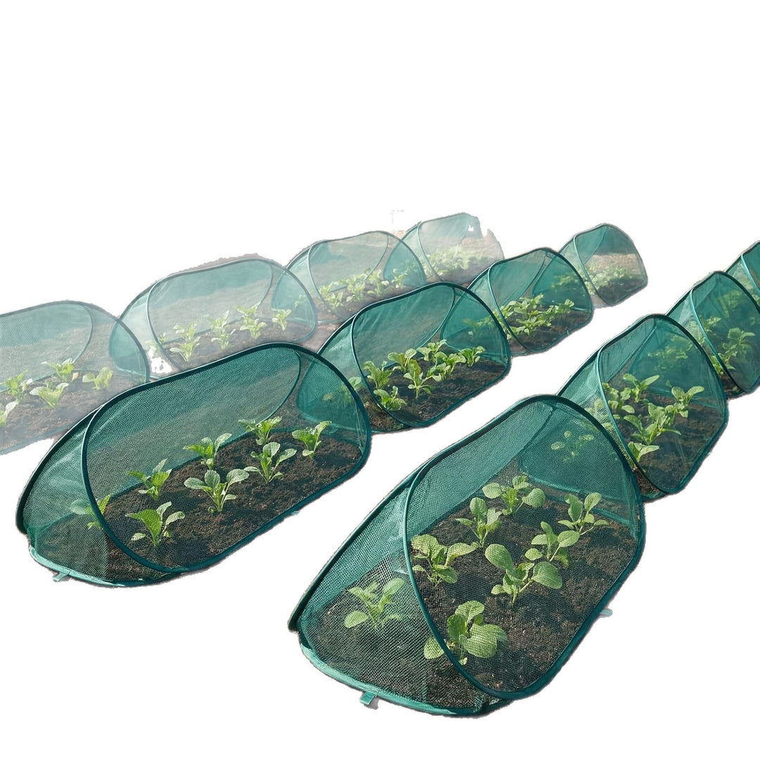 Garden Plant Protection Stornfield