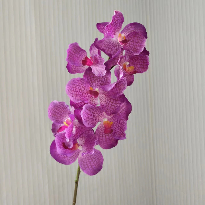 Realistic Orchid Stem