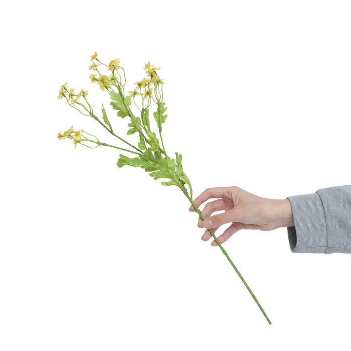 Realistic Yellow Wildflower Stem