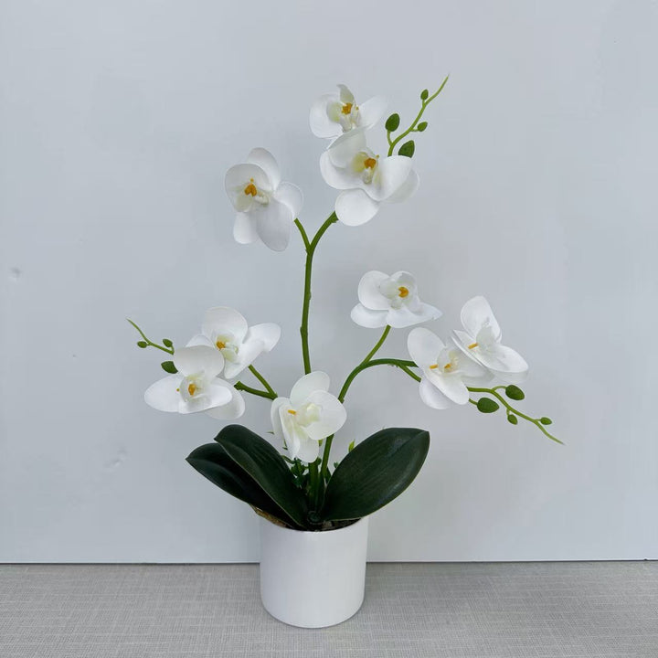 Decorative Orchid for Home Decor Display