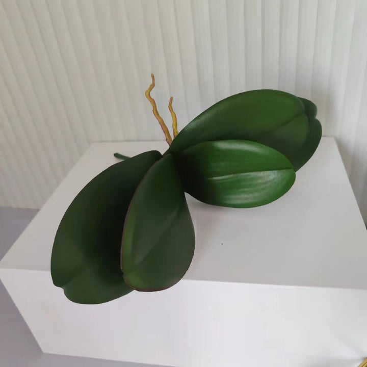 Realistic Orchid Leaf Arrangement