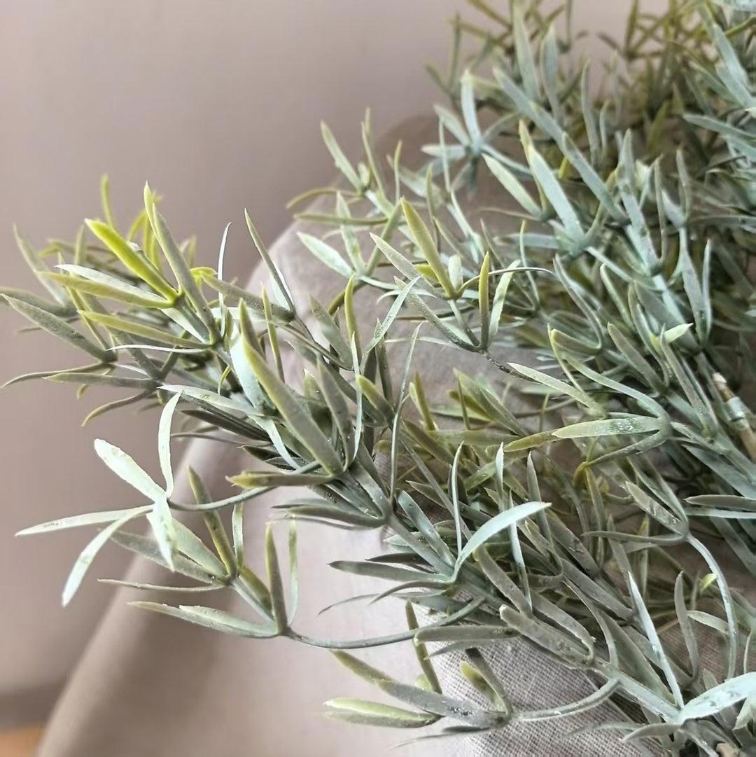 Decorative Olive Branch