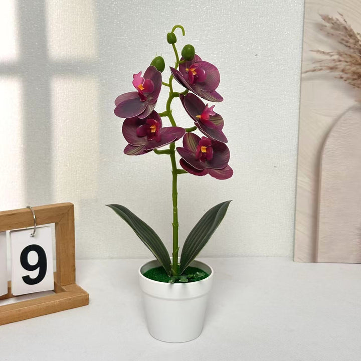 Decorative Artificial Orchid for Home Decor Display