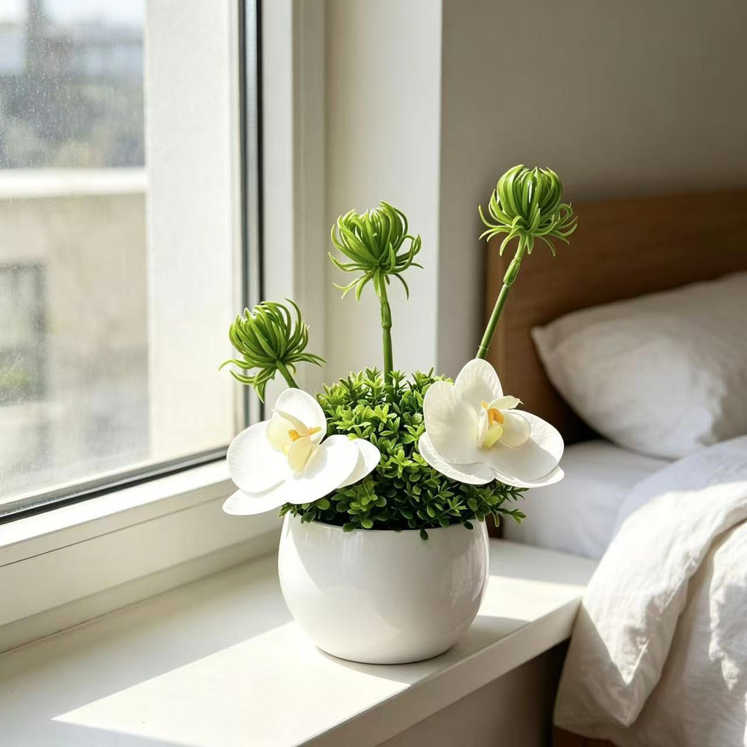 Decorative Orchid and Green Plant Arrangement