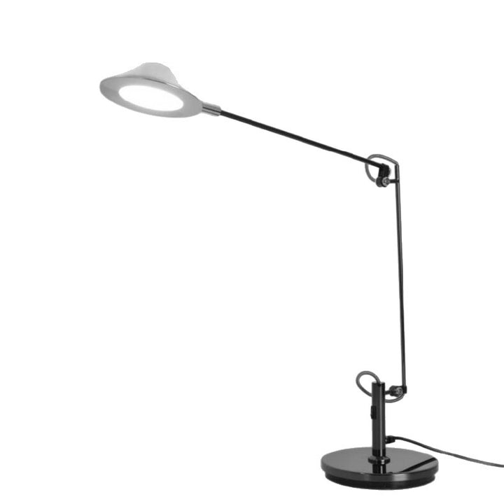 Adjustable Task Lighting Desk Lamp
