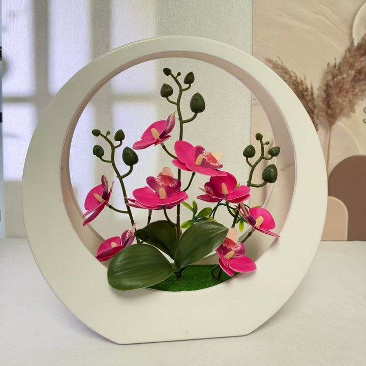 Elegant Decorative Orchid Plant Display for Home Decor
