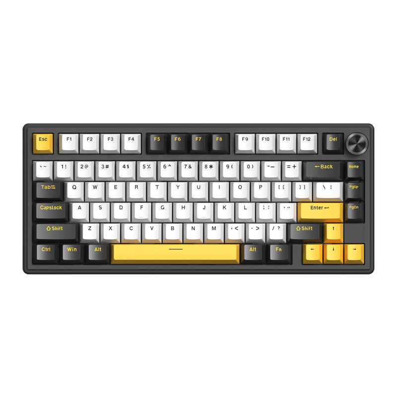 Gasket Mount RGB Gaming Keyboard Stornfield