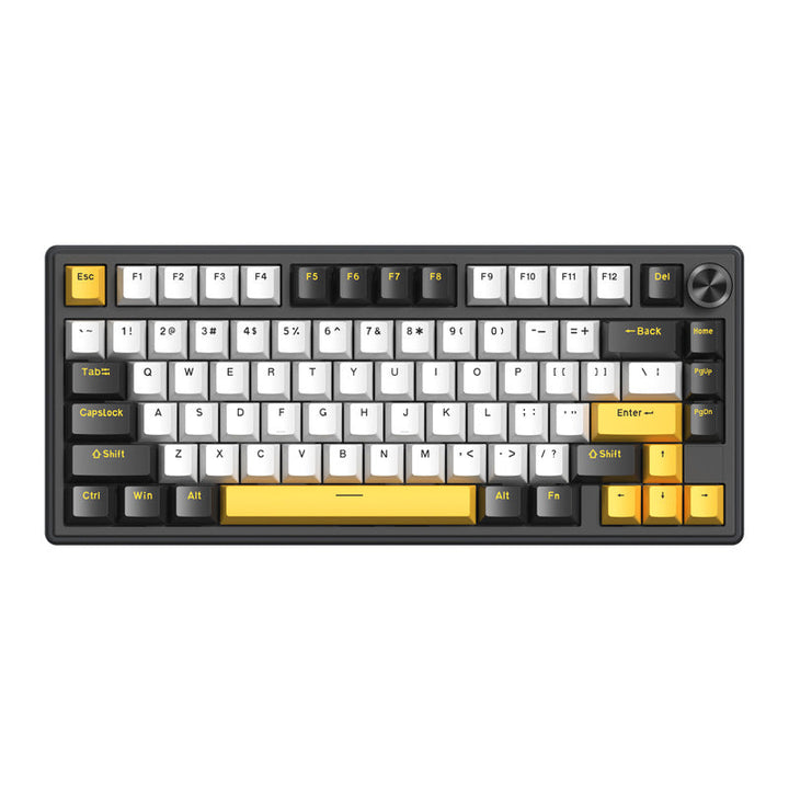 RGB Backlit Gasket Mechanical Keyboard Stornfield