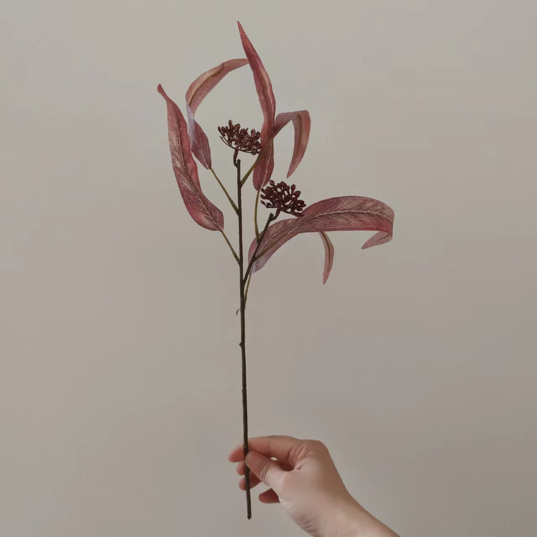 Natural Dried Floral Stem