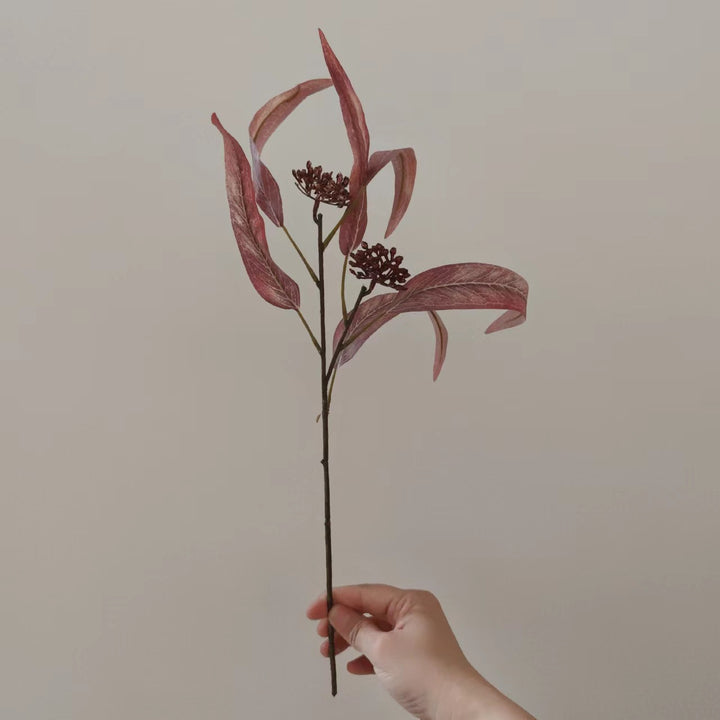 Natural Dried Floral Stem