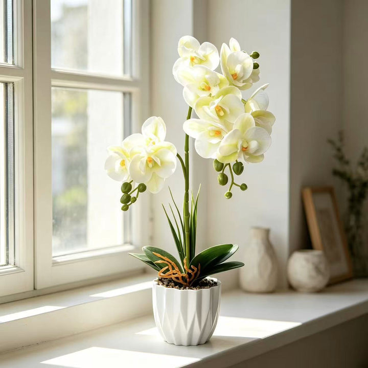 Lifelike Orchid Decorative Plant
