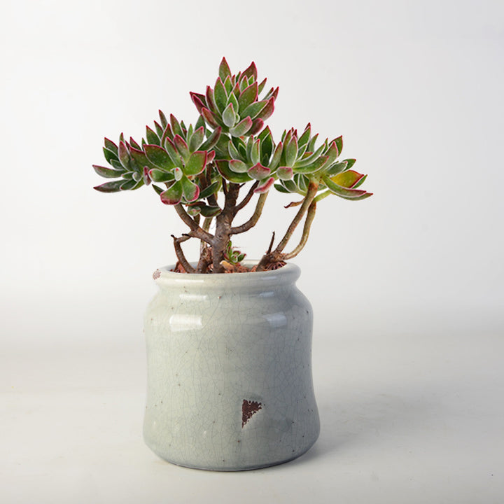 decorative storage pot Stornfield