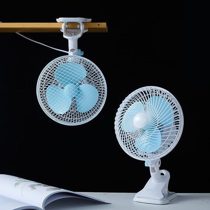 Fan Stornfield