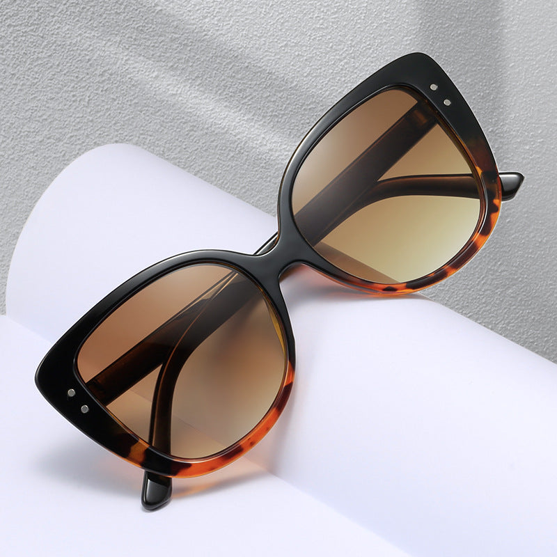 Ladies glamorous oversized sunglasses withElegant transparent frame Stornfield