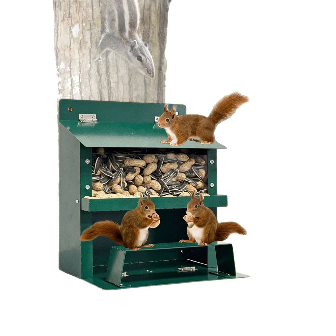 Decorative Wall-Mounted Bird Feeder Stornfield