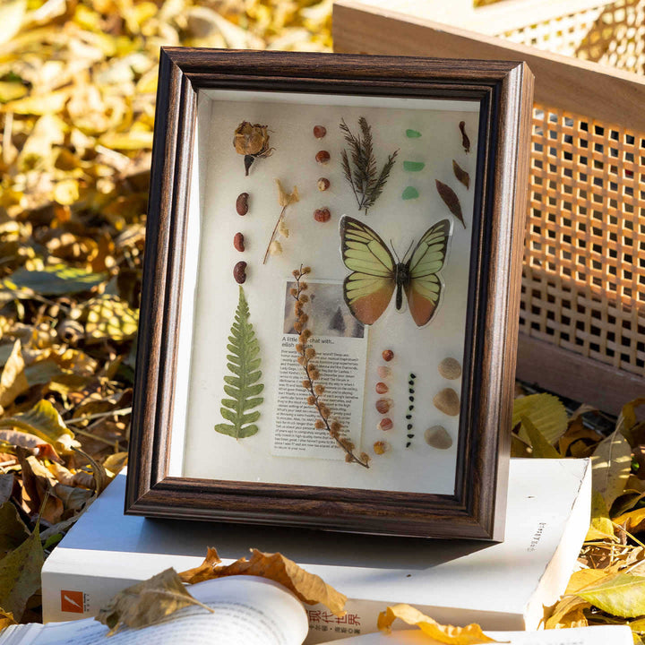 Decorative Botanical Shadow Box Frame