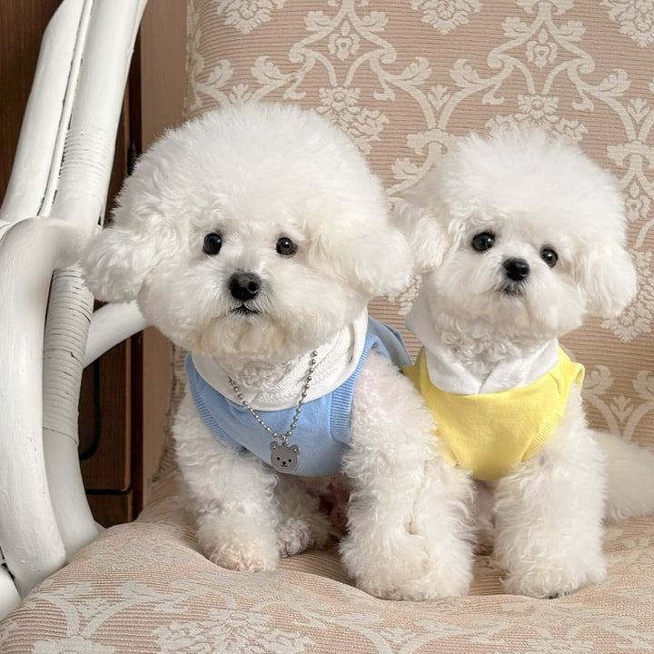 Pet Cotton Fleece Hooded Dog Sweater with Pocket