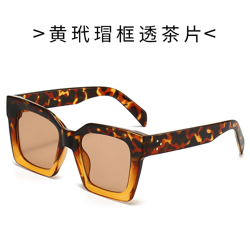 Women's Fashion Sunglasses in Striking Turtle Design Stornfield