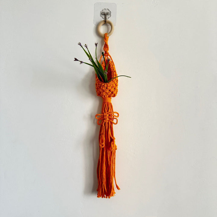Macrame Plant Hanger with Decorative Tassels Stornfield