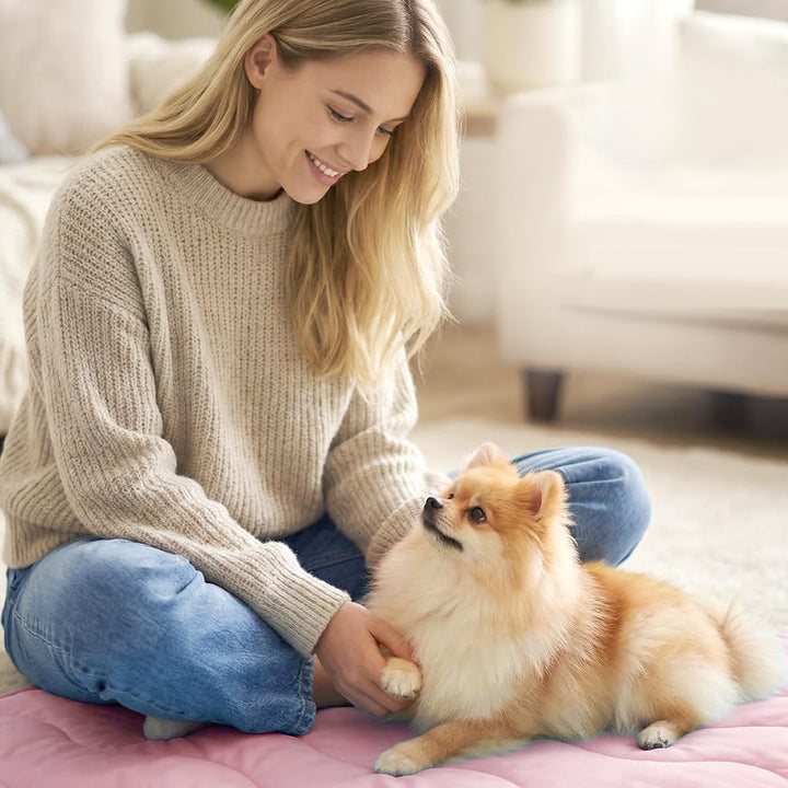 Ladies orthopedic dog bed Stornfield