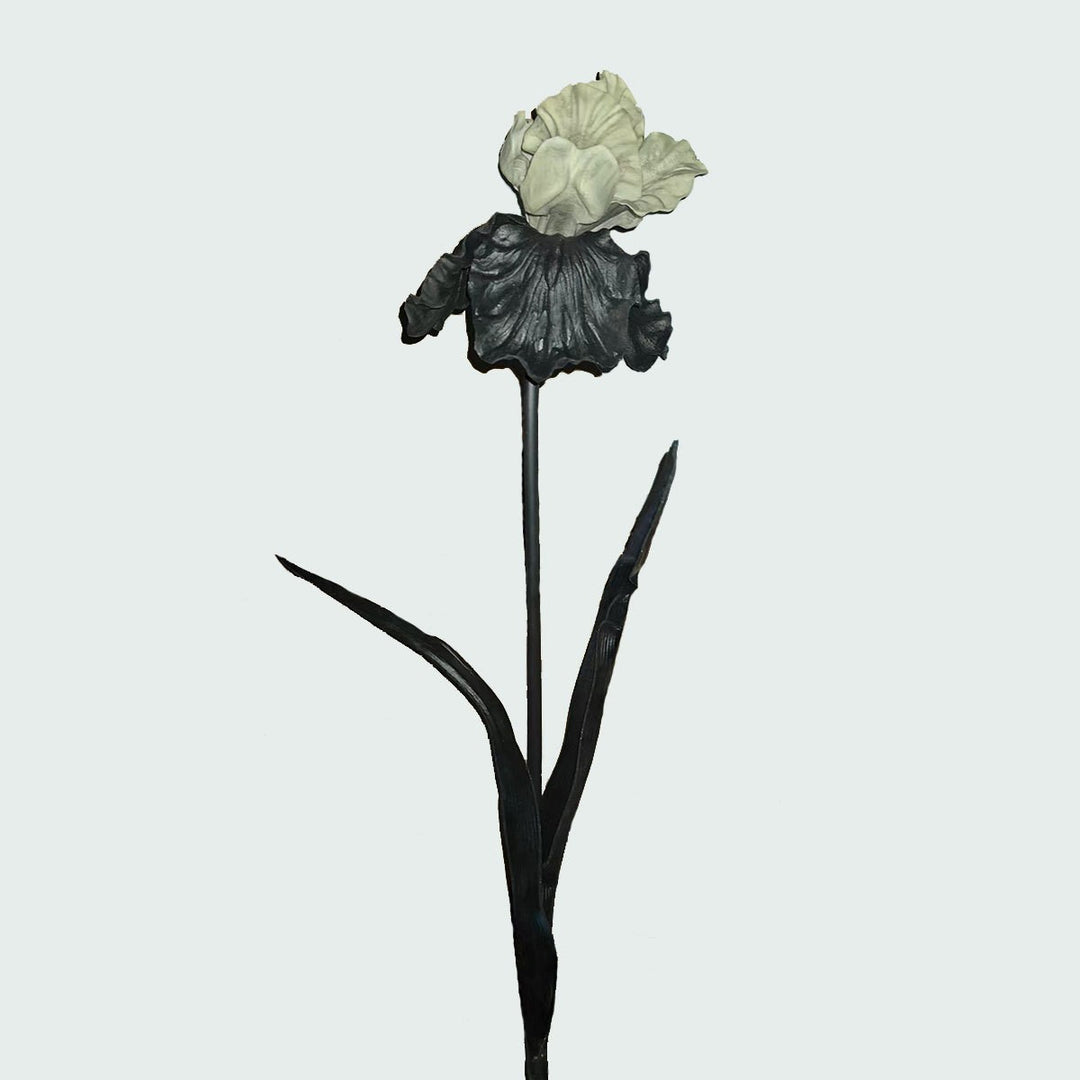 Decorative Iris Flower Stem