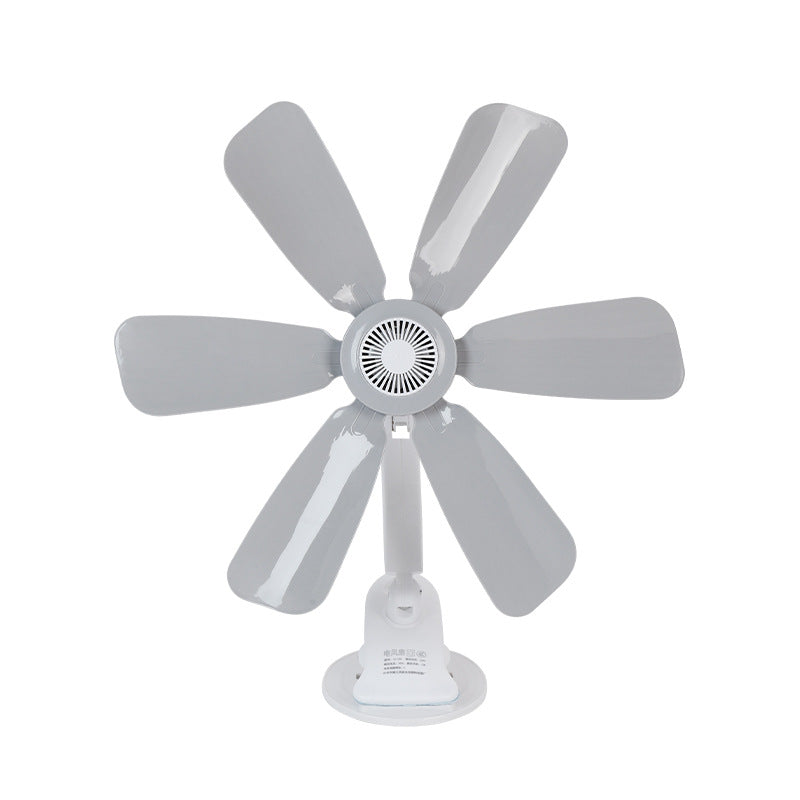 Women's Stand Fan Stornfield