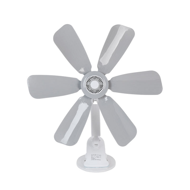 Women's Stand Fan Stornfield