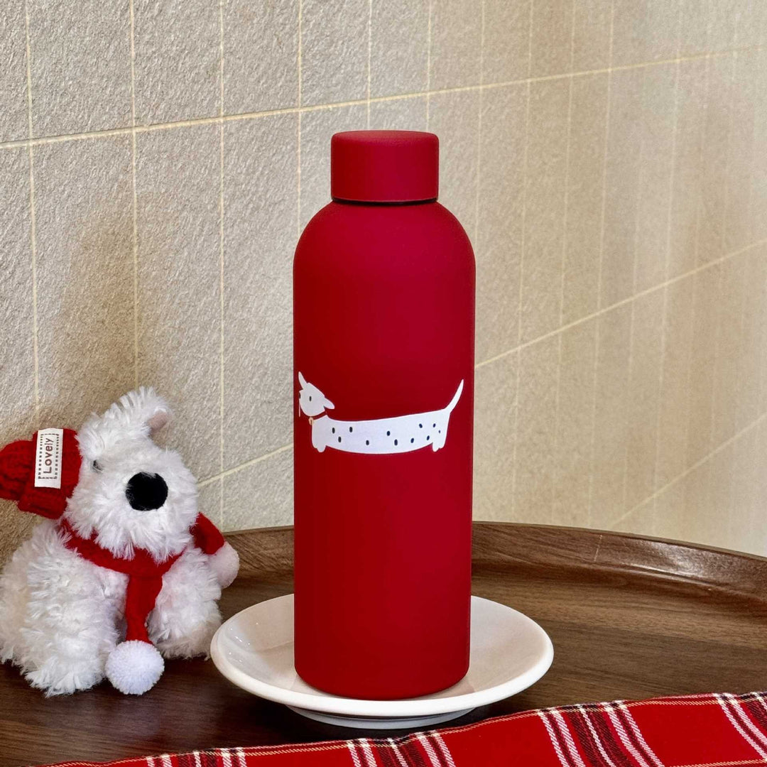 Ladies insulated and stylish drinking bottle Stornfield