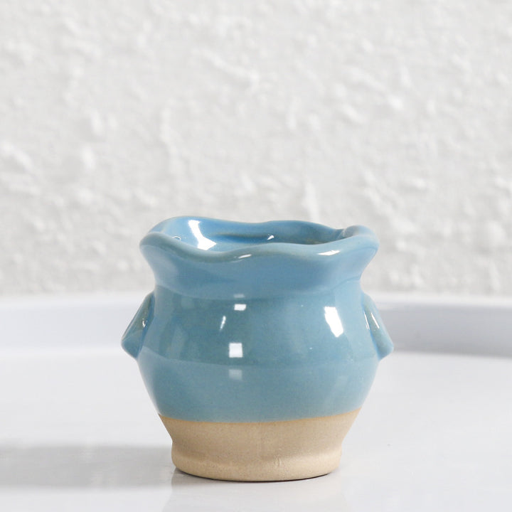 Miniature Decorative Flower Pot Stornfeild