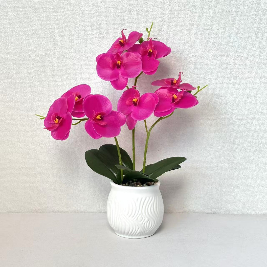 Elegant Orchid Floral Display