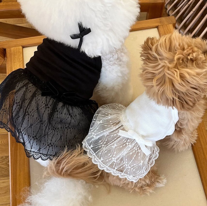 Delicate Lace Tulle Pet Dress with Ribbed Bodice & Decorative