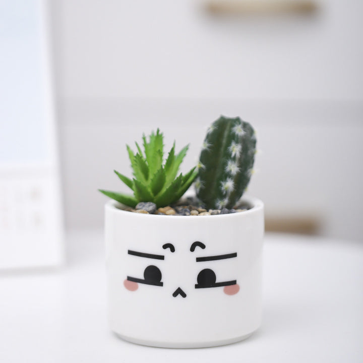 Cute Animal-Themed Succulent Planter Stornfeild