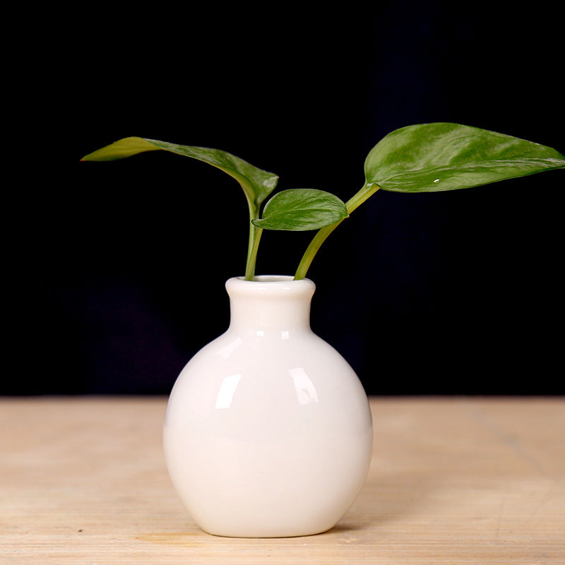 Miniature Ceramic Plant Holder Stornfeild