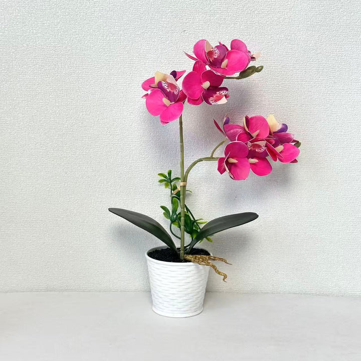 Artificial Orchid Arrangement for Decorative Indoor Display
