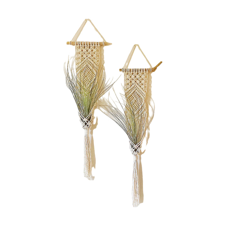 Macrame Wall Hanging Plant Holder Stornfield