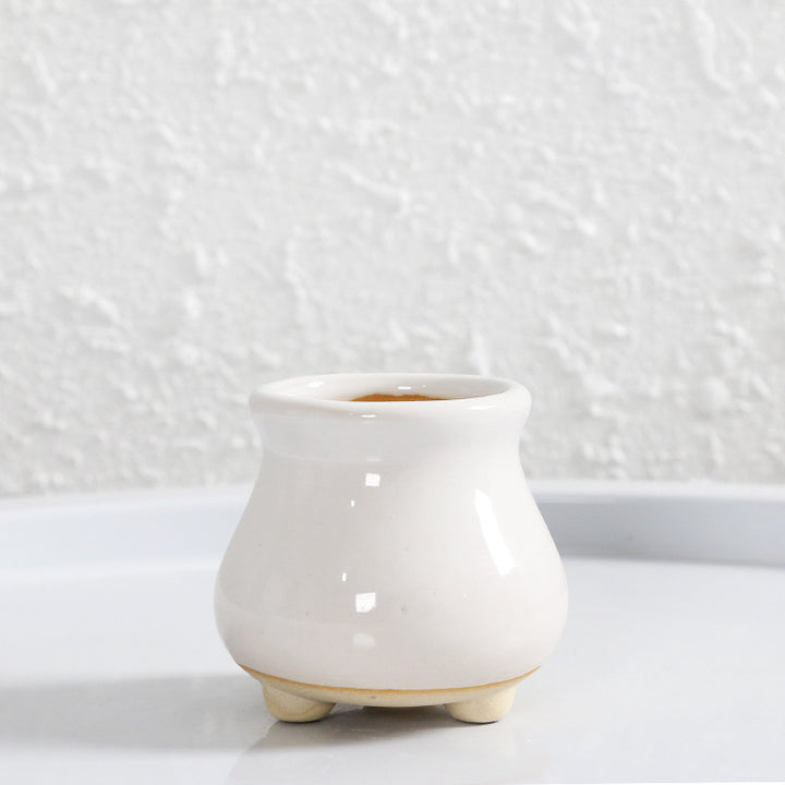 Miniature Decorative Flower Pot Stornfeild