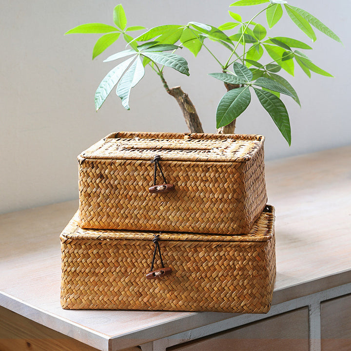 Unisex Organizing Storage Box with Dividers Stornfield