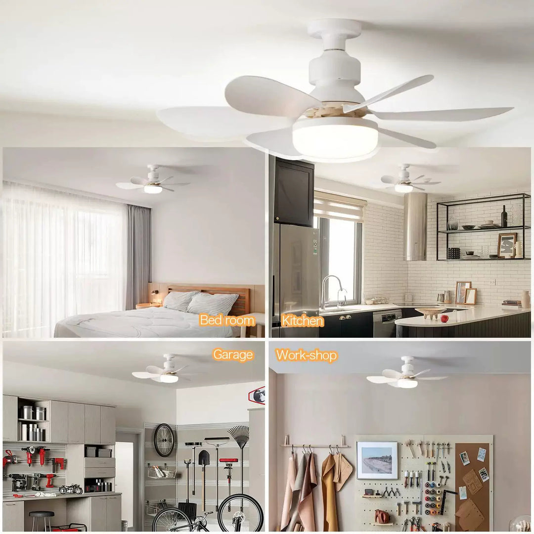 Colorful Ceiling Fan Stornfield