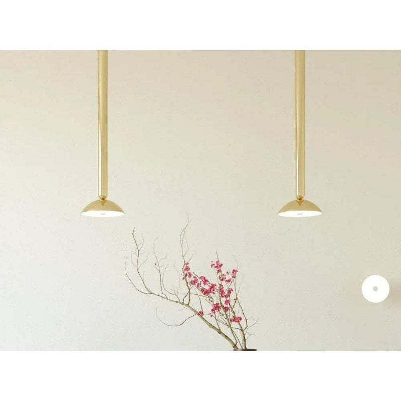 Contemporary Metallic Pendant Light