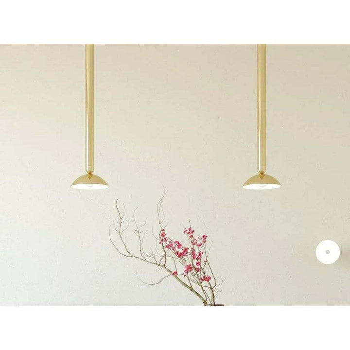 Contemporary Metallic Pendant Light
