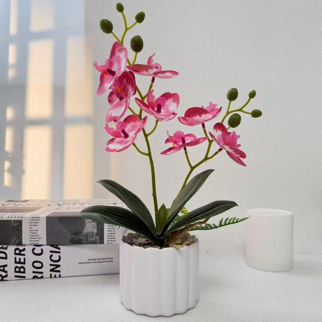 Home Decorative Artificial Orchid for Indoor Decorative Display