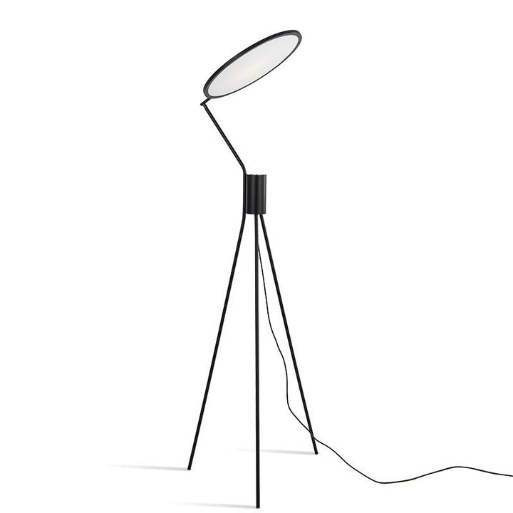 Adjustable LED Floor Lamp